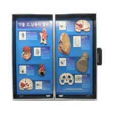 약물오남용의결과